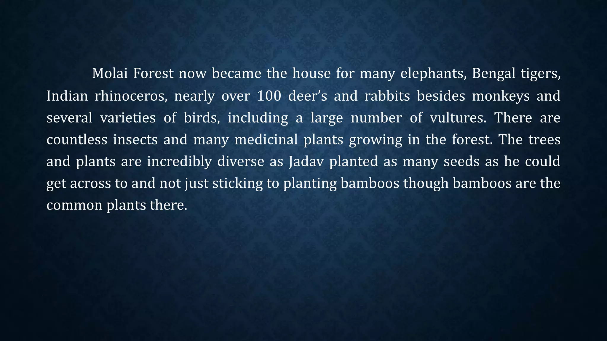 Molai Forest now became the house for many elephants, Bengal tigers,
Indian rhinoceros, nearly over 100 deer’s and rabbits besides monkeys and
several varieties of birds, including a large number of vultures. There are
countless insects and many medicinal plants growing in the forest. The trees
and plants are incredibly diverse as Jadav planted as many seeds as he could
get across to and not just sticking to planting bamboos though bamboos are the
common plants there.
 