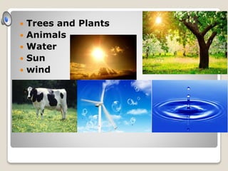  Trees and Plants
 Animals
 Water
 Sun
 wind
 