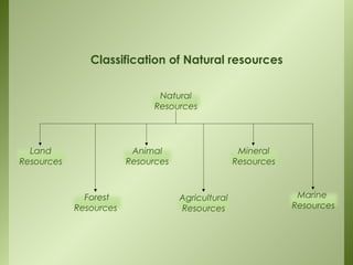 Natural
Resources
Land
Resources
Mineral
Resources
Marine
Resources
Agricultural
Resources
Animal
Resources
Forest
Resources
Classification of Natural resources
 