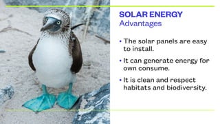 Advantages
SOLAR ENERGY
• The solar panels are easy
to install.
• It can generate energy for
own consume.
• It is clean and respect
habitats and biodiversity.
 