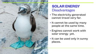 Disadvantages
SOLAR ENERGY
• The electricity generated
cannot travel very far.
• It cannot be used by many
people at the same time.
• Engines cannot work with
solar energy yet.
• It can be used only in sunny
places.
 