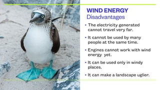 Disadvantages
WIND ENERGY
• The electricity generated
cannot travel very far.
• It cannot be used by many
people at the same time.
• Engines cannot work with wind
energy yet.
• It can be used only in windy
places.
• It can make a landscape uglier.
 