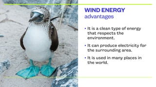 advantages
WIND ENERGY
• It is a clean type of energy
that respects the
environment.
• It can produce electricity for
the surrounding area.
• It is used in many places in
the world.
 