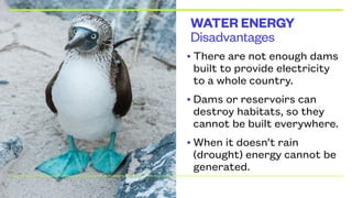 Disadvantages
WATER ENERGY
• There are not enough dams
built to provide electricity
to a whole country.
• Dams or reservoirs can
destroy habitats, so they
cannot be built everywhere.
• When it doesn’t rain
(drought) energy cannot be
generated.
 