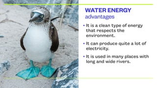 advantages
WATER ENERGY
• It is a clean type of energy
that respects the
environment.
• It can produce quite a lot of
electricity.
• It is used in many places with
long and wide rivers.
 