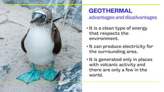 advantages and disadvantages
GEOTHERMAL
• It is a clean type of energy
that respects the
environment.
• It can produce electricity for
the surrounding area.
• It is generated only in places
with volcanic activity and
there are only a few in the
world.
 