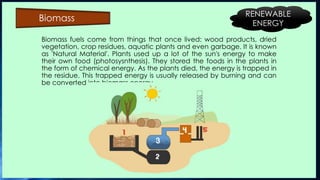 Biomass fuels come from things that once lived: wood products, dried
vegetation, crop residues, aquatic plants and even garbage. It is known
as 'Natural Material'. Plants used up a lot of the sun's energy to make
their own food (photosysnthesis). They stored the foods in the plants in
the form of chemical energy. As the plants died, the energy is trapped in
the residue. This trapped energy is usually released by burning and can
be converted into biomass energy.
Biomass RENEWABLE
ENERGY
 