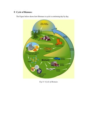 ❖ Cycle of Biomass:
The Figure below shows how Biomass is cycle is continuing day by day:
Fig 11: Cycle of Biomass.
 