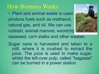 How Biomass Works
• Plant and animal waste is used to
produce fuels such as methanol,
natural gas, and oil. We can use
rubbish, animal manure, woodchips,
seaweed, corn stalks and other wastes.
Sugar cane is harvested and taken to a
mill, where it is crushed to extract the
juice. The juice is used to make sugar,
whilst the left-over pulp, called "bagasse"
can be burned in a power station.
 