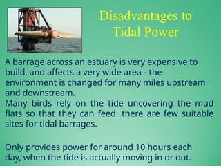 Disadvantages to
Tidal Power
A barrage across an estuary is very expensive to
build, and affects a very wide area - the
environment is changed for many miles upstream
and downstream.
Many birds rely on the tide uncovering the mud
flats so that they can feed. there are few suitable
sites for tidal barrages.
Only provides power for around 10 hours each
day, when the tide is actually moving in or out.
 