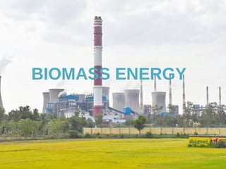 BIOMASS ENERGY
 