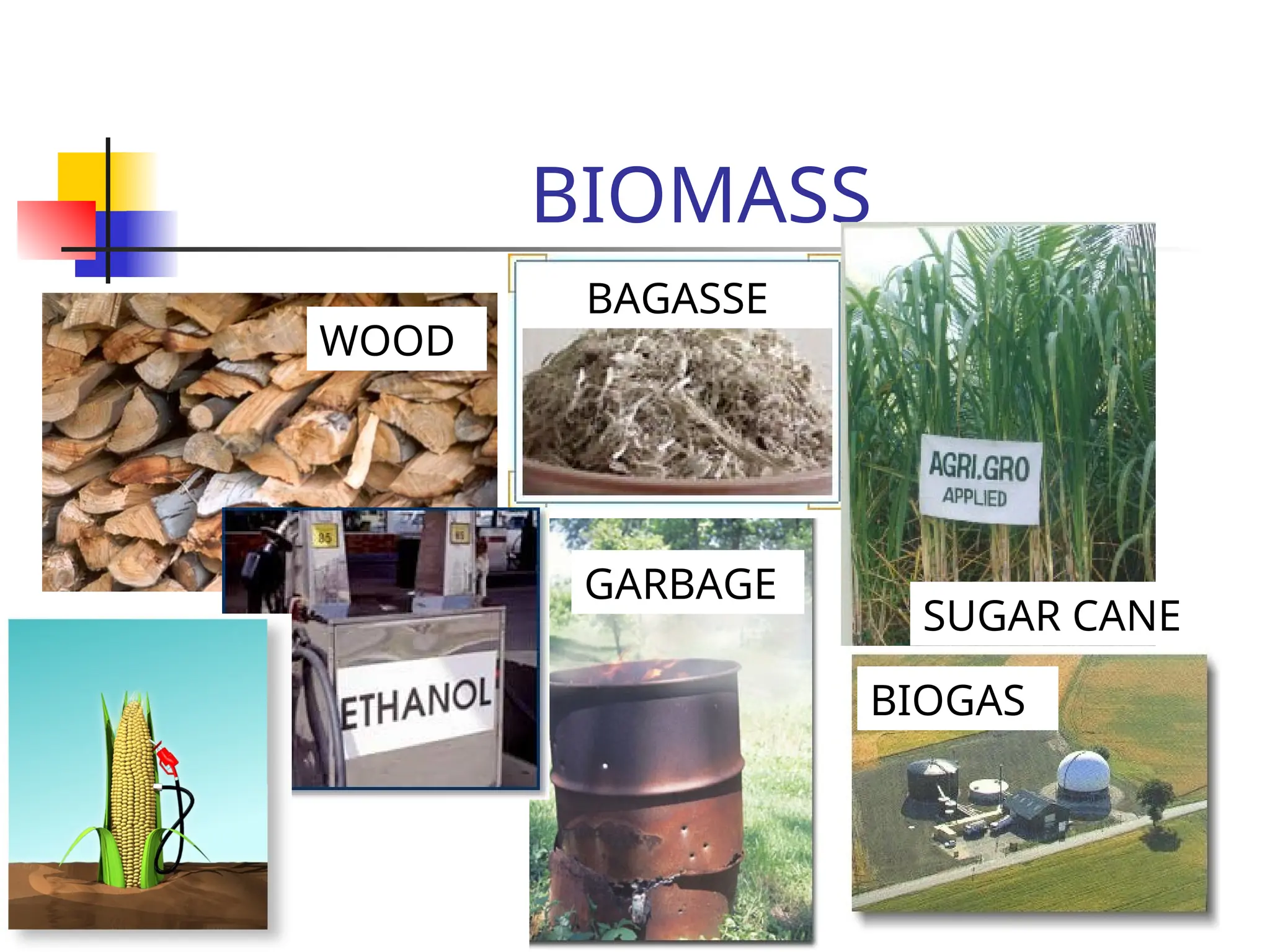 BIOMASS
WOOD
GARBAGE
BIOGAS
BAGASSE
SUGAR CANE
 