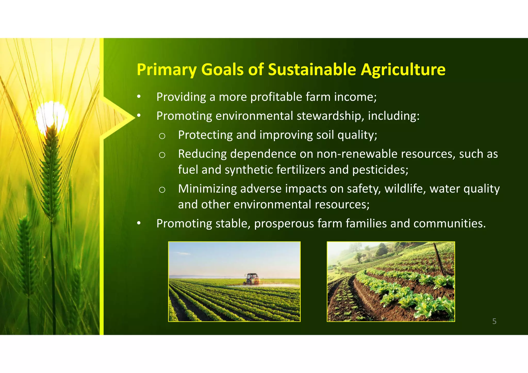 Renewable Energy for Sustainable Agriculture and Food Security | PDF