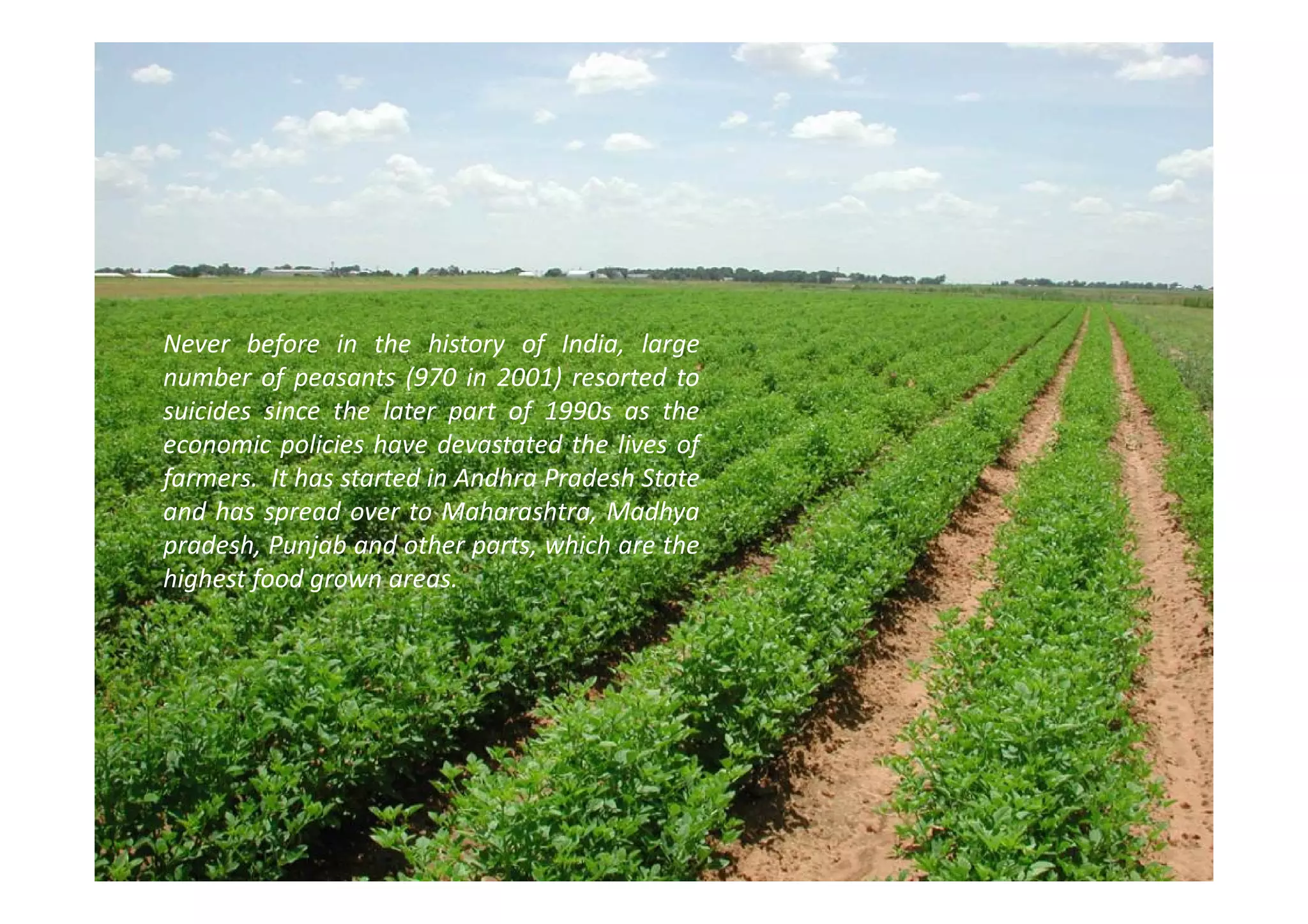 Never before in the history of India, large
number of peasants (970 in 2001) resorted to
suicides since the later part of 1990s as the
economic policies have devastated the lives of
farmers. It has started in Andhra Pradesh State
and has spread over to Maharashtra, Madhya
pradesh, Punjab and other parts, which are the
highest food grown areas.
 