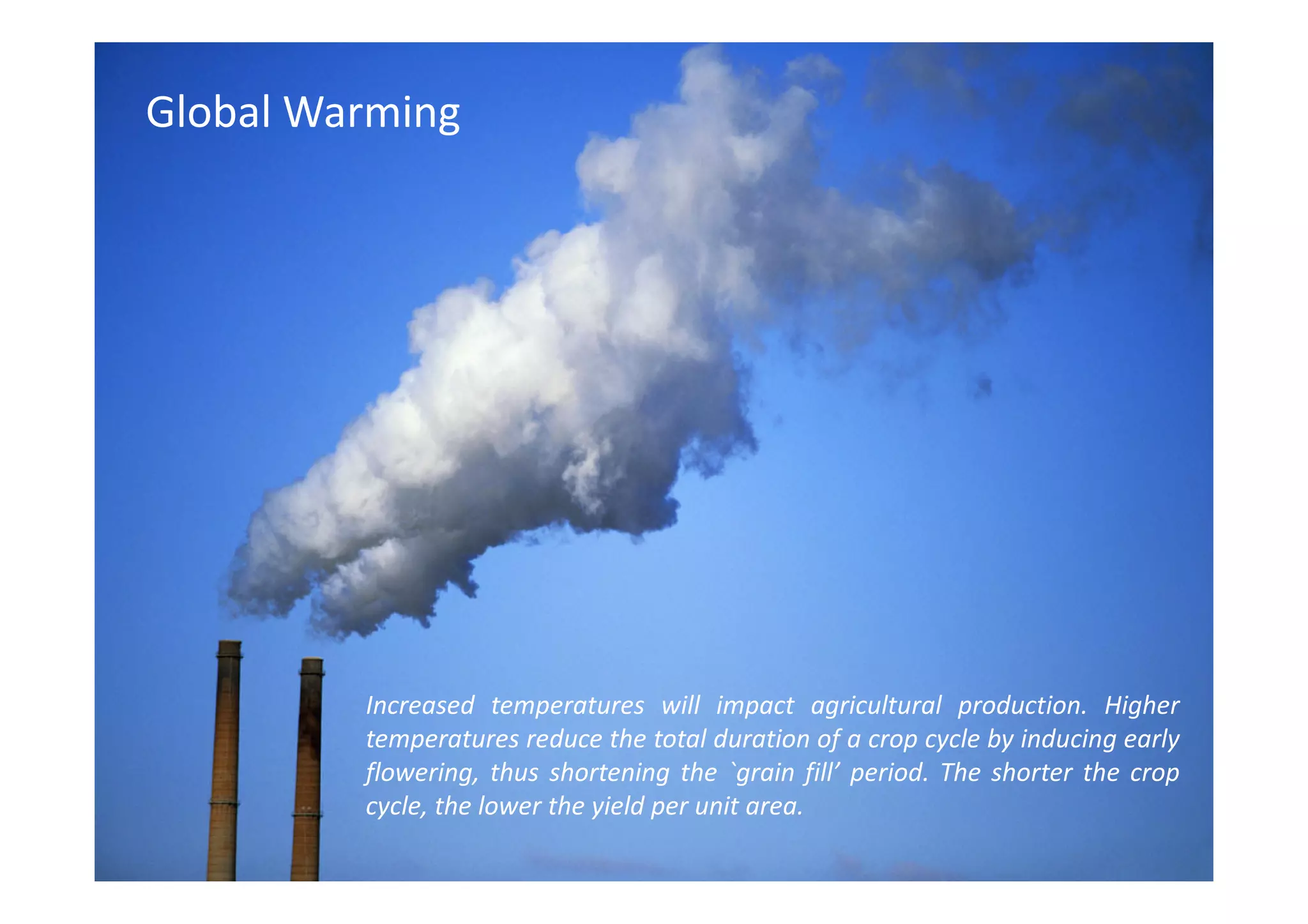 Global Warming




         Increased temperatures will impact agricultural production. Higher
         temperatures reduce the total duration of a crop cycle by inducing early
         flowering, thus shortening the `grain fill’ period. The shorter the crop
         cycle, the lower the yield per unit area.
 