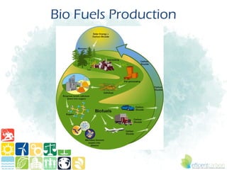 Bio Fuels Production
 