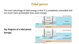 Tidal power
The main advantage of tidal energy is that it is completely renewable and
are much more predictable than wave energy.
Fig: Diagram of a tidal power
barrage.
 