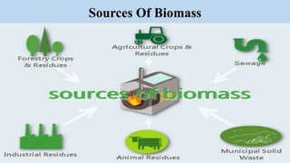 Sources Of Biomass
 
