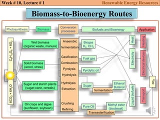 Renewable energy resources_ biomass energy introduction | PDF