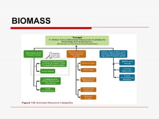 BIOMASS
 