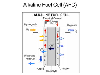 Alkaline Fuel Cell (AFC) 
