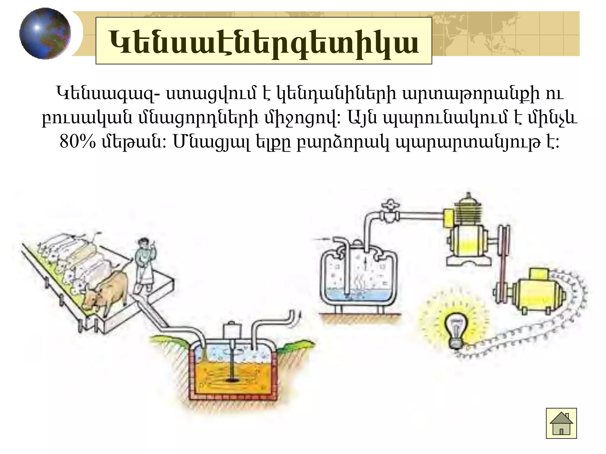 Կենսաէներգետիկա
Կենսագազ- ստացվում է կենդանիների արտաթորանքի ու
բուսական մնացորդների միջոցով: Այն պարունակում է մինչև
80% մեթան: Մնացյալ ելքը բարձորակ պարարտանյութ է:
 