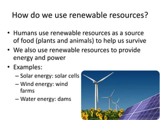 How do we use renewable resources?Humans use renewable resources as a source of food (plants and animals) to help us surviveWe also use renewable resources to provide energy and power Examples: Solar energy: solar cellsWind energy: wind farmsWater energy: dams