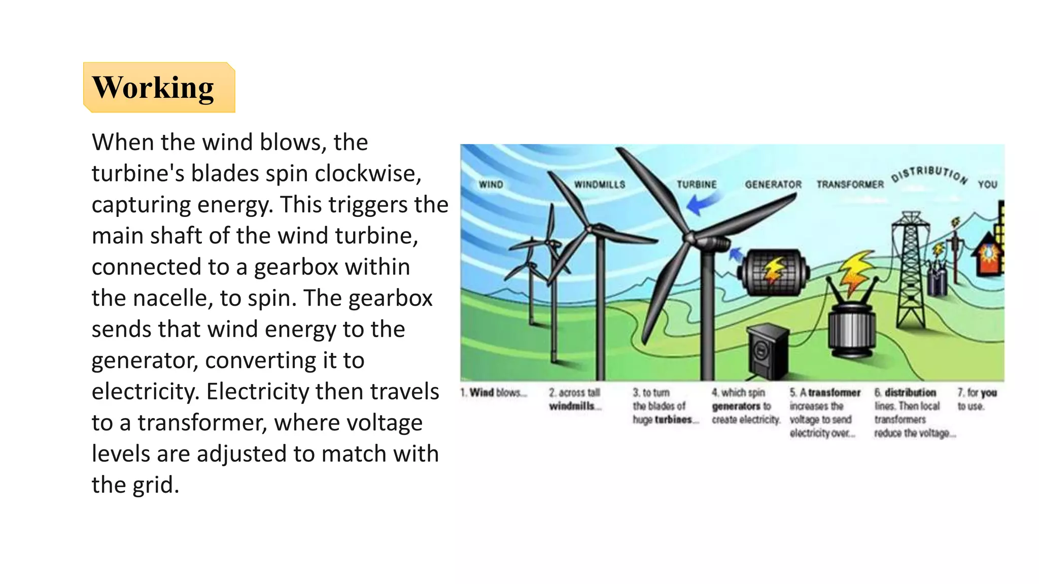 When the wind blows, the
turbine's blades spin clockwise,
capturing energy. This triggers the
main shaft of the wind turbine,
connected to a gearbox within
the nacelle, to spin. The gearbox
sends that wind energy to the
generator, converting it to
electricity. Electricity then travels
to a transformer, where voltage
levels are adjusted to match with
the grid.
Working
 