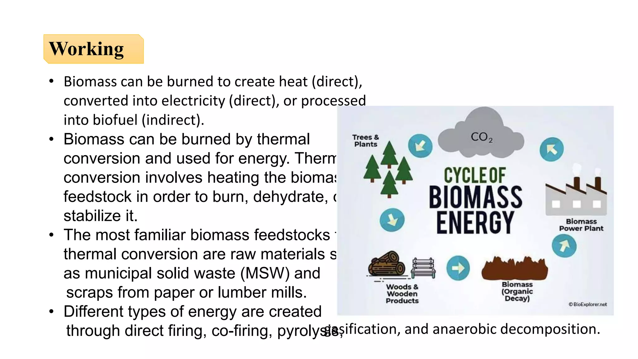 • Biomass can be burned to create heat (direct),
converted into electricity (direct), or processed
into biofuel (indirect).
• Biomass can be burned by thermal
conversion and used for energy. Thermal
conversion involves heating the biomass
feedstock in order to burn, dehydrate, or
stabilize it.
• The most familiar biomass feedstocks for
thermal conversion are raw materials such
as municipal solid waste (MSW) and
scraps from paper or lumber mills.
• Different types of energy are created
through direct firing, co-firing, pyrolysis,
Working
gasification, and anaerobic decomposition.
 