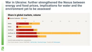 War in Ukraine: further strengthened the Nexus between
energy and food prices, implications for water and the
environment ...