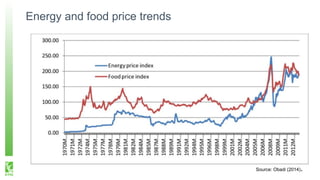Source: Obadi (2014).
Energy and food price trends
 