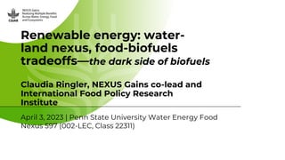 Renewable energy: water-
land nexus, food-biofuels
tradeoffs—the dark side of biofuels
Claudia Ringler, NEXUS Gains co-lead and
International Food Policy Research
Institute
April 3, 2023 | Penn State University Water Energy Food
Nexus 597 (002-LEC, Class 22311)
 