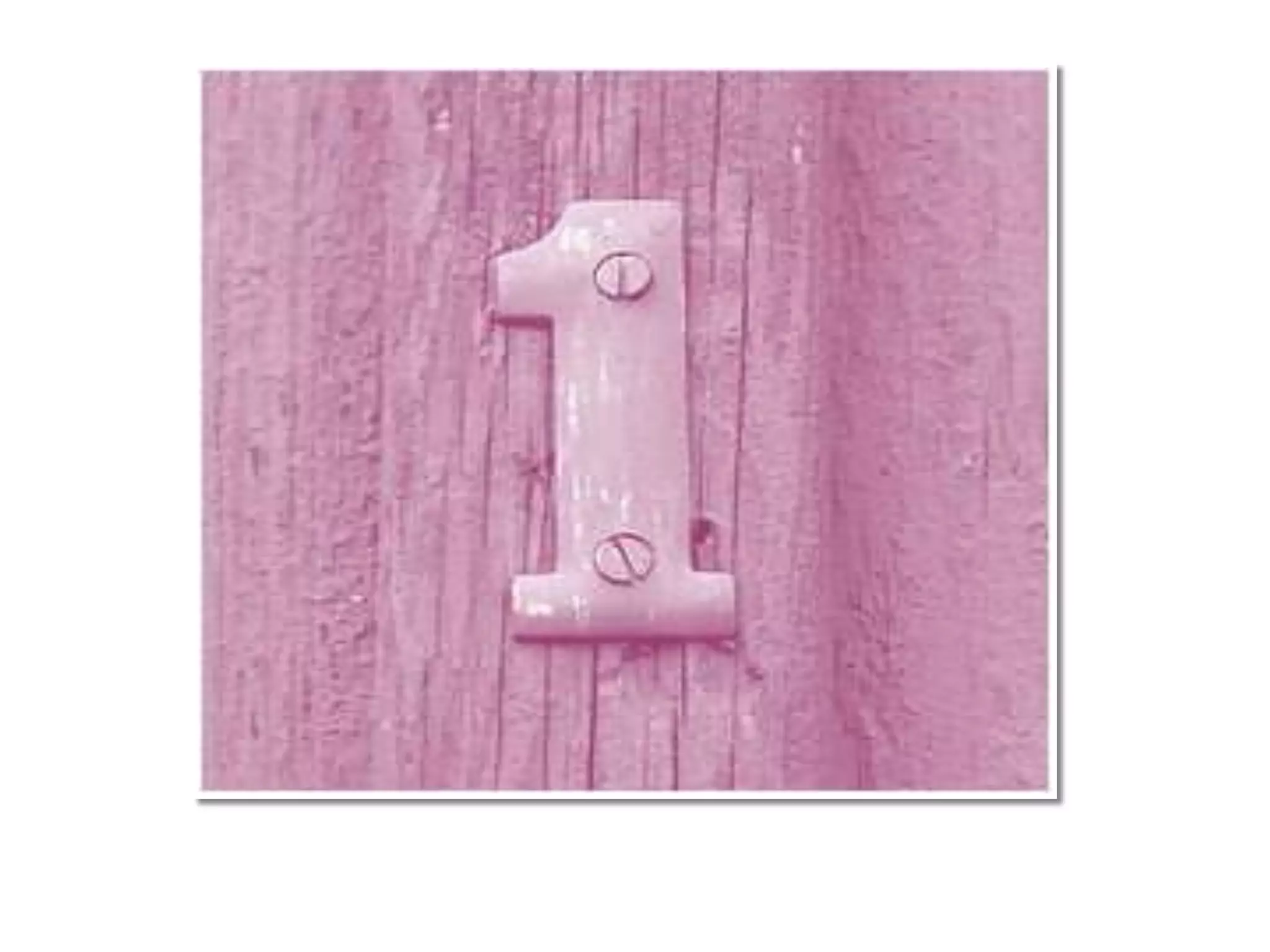 Renew The Love For Your Library