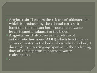  Angiotensin
II causes the release of aldosterone
which is produced by the adrenal cortex; it
functions to maintain both sodium and water
levels (osmotic balance) in the blood.
 Angiotensin II also causes the release of
antidiuretic hormone (ADH) which functions to
conserve water in the body when volume is low; it
does this by inserting aquaporins in the collecting
duct of the nephron to promote water
reabsorption.
.