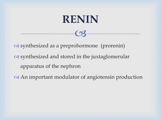
 synthesized as a preprohormone (prorenin)
 synthesized and stored in the juxtaglomerular
apparatus of the nephron
 An important modulator of angiotensin production
RENIN
 
