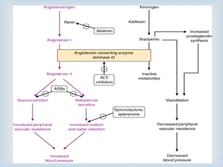 
 Plays a key role in the regulation of
 fluid and electrolyte balance
 arterial blood pressure
 Excessive activity can result in
 hypertension
 disorders of fluid and electrolyte homeostasis
ANGIOTENSIN II
 