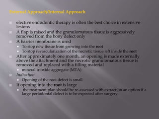 External Approach/Internal Approach
 elective endodontic therapy is often the best choice in extensive
lesions
 A flap is raised and the granulomatous tissue is aggressively
removed from the bony defect only
 A barrier membrane is used
 To stop new tissue from growing into the root
 To stop revascularization of the necrotic tissue left inside the root
 After approximately one month, an opening is made externally
above the attachment and the necrotic granulomatous tissue is
removed and replaced with a filling material
 mineral trioxide aggregate (MTA)
 Indication
 Opening of the root defect is small
 If opening into the root is large
 the treatment plan should be re-assessed with extraction an option if a
large periodontal defect is to be expected after surgery
 
