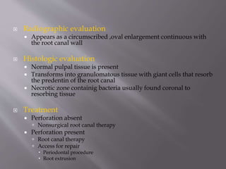  Radiographic evaluation
 Appears as a circumscribed ,oval enlargement continuous with
the root canal wall
 Histologic evaluation
 Normal pulpal tissue is present
 Transforms into granulomatous tissue with giant cells that resorb
the predentin of the root canal
 Necrotic zone containig bacteria usually found coronal to
resorbing tissue
 Treatment
 Perforation absent
 Nonsurgical root canal therapy
 Perforation present
 Root canal therapy
 Access for repair
 Periodontal procedure
 Root extrusion
 