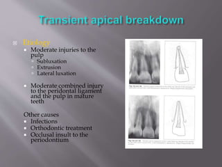  Etiology
 Moderate injuries to the
pulp
 Subluxation
 Extrusion
 Lateral luxation
 Moderate combined injury
to the peridontal ligament
and the pulp in mature
teeth
Other causes
 Infections
 Orthodontic treatment
 Occlusal insult to the
periodontium
 