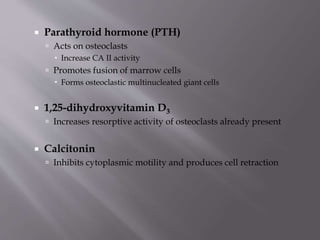  Parathyroid hormone (PTH)
 Acts on osteoclasts
 Increase CA II activity
 Promotes fusion of marrow cells
 Forms osteoclastic multinucleated giant cells
 1,25-dihydroxyvitamin D3
 Increases resorptive activity of osteoclasts already present
 Calcitonin
 Inhibits cytoplasmic motility and produces cell retraction
 