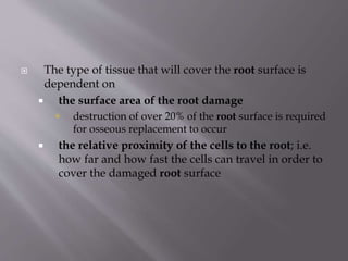  The type of tissue that will cover the root surface is
dependent on
 the surface area of the root damage
 destruction of over 20% of the root surface is required
for osseous replacement to occur
 the relative proximity of the cells to the root; i.e.
how far and how fast the cells can travel in order to
cover the damaged root surface
 