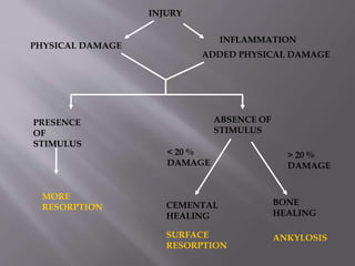 PRESENCE
OF
STIMULUS
ABSENCE OF
STIMULUS
CEMENTAL
HEALING
BONE
HEALING
SURFACE
RESORPTION
ANKYLOSIS
MORE
RESORPTION
< 20 %
DAMAGE
> 20 %
DAMAGE
INJURY
PHYSICAL DAMAGE
INFLAMMATION
ADDED PHYSICAL DAMAGE
 