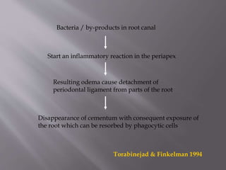 Bacteria / by-products in root canal
Start an inflammatory reaction in the periapex
Resulting odema cause detachment of
periodontal ligament from parts of the root
Disappearance of cementum with consequent exposure of
the root which can be resorbed by phagocytic cells
Torabinejad & Finkelman 1994
 