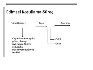 Edimsel Koşullama-Süreç
Edim (Operant) Tepki Davranış
Ödül
Ceza
Organizmanın gelişi
güzel, hangi
uyarıcıya dönük
olduğunu
belirleyemediğimiz
tepkisi
 