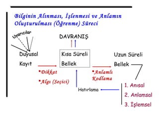 Duyusal
Kayıt
Kısa Süreli
Bellek
Uzun Süreli
Bellek
1. Anısal
2. Anlamsal
3. İşlemsel
Dikkat
Algı (Seçici)
Anlamlı
Kodlama
DAVRANIŞ
Hatırlama
Bilginin Alınması, İşlenmesi ve Anlamın
Oluşturulması (Öğrenme) Süreci
 