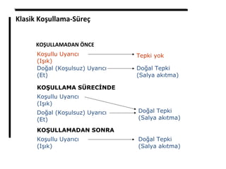 Klasik Koşullama-Süreç
KOŞULLAMADAN ÖNCE
Tepki yokKoşullu Uyarıcı
(Işık)
KOŞULLAMA SÜRECİNDE
KOŞULLAMADAN SONRA
Doğal (Koşulsuz) Uyarıcı
(Et)
Doğal Tepki
(Salya akıtma)
Koşullu Uyarıcı
(Işık)
Doğal (Koşulsuz) Uyarıcı
(Et)
Koşullu Uyarıcı
(Işık)
Doğal Tepki
(Salya akıtma)
Doğal Tepki
(Salya akıtma)
 