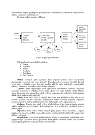 Depolanan bu bilgiler gerektiğinde geri getirilerek kullanılmaktadır. Bu sistem bilgisayarların
çalışma sistemine benzetilmektedir.
       Bu süreç aşağıda şematize edilmiştir.




                                                                                        Anısal
                                                                                        (Epizodik)
                                                                                        Bellek
   Uyarıcı
                                                                   Uzun
              Duyusal                  Kısa Süreli                                      Anlamsal
                                                                   Süreli
              Kayıt                    Bellek (İşleyen                                  (Semantik)
                                                                   Bellek               Bellek
              (Bellek)                 Bellek)

                                                                                        İşlemsel
                                                                                        Bellek
                                 Kod                       Kod
                                              Kod


                                Şema: Bilgiyi İşleme Kuramı

       Bilgiyi işleme kuramında bilişsel süreç;
            Dikkat
            Algılama
            Tekrar
            Kodlama
            Depolama
            Geri Getirme

        Dikkat: Dışarıdan gelen uyarıcılar duyu organları yoluyla alınır. Uyarıcıların
alınmasında en önemli olan seçici dikkattir. Dışarıdan gelen uyarıcılar öncelikle duyusal
kayıta gelir ve burada uyarıcı dışarıdan alındığı şekliyle hiçbir değişikliğe uğratılmadan
saklanır. Daha sonra hemen kısa süreli belleğe gönderilir.
        Algılama: Duyu organlarıyla alınan uyarıcıların tanımlanması işlemidir. Algılama
işleminde uyarıcının ne olduğuna karar verilir. İşlem kısa süreli bellekte yapılır. Bilgiyi
işleme kuramında tüm işlemler kısa süreli bellekte gerçekleşir. Bu nedenle bu bellek işleyen
bellek olarak da isimlendirilmektedir.
        Tekrar: Kısa süreli bellekte bilginin daha uzun süre kalabilmesi için bilgi tekrar
edilerek saklanır. Saklama süresinin uzatılmasının nedeni kodlama işleminin yapılarak
bilginin uzun süreli belleğe gönderilmeden önce herhangi bir kayba uğramamasıdır.
        Kodlama: Bilginin uzun süreli belleğe gönderilebilmesi için birey tarafından anlamlı
şekilde kodlanması gerekmektedir. Kodlama her birey için kendisi için en anlamlı gelecek
şekilde yapılır.
        Depolama: Uzun süreli belekte bilgiler gelişi güzel şekilde saklanmaz. Bilgiler
depolanırken anısal (epizodik), anlamsal (semantik) ve işlemsel bellek türlerinden uygun olan
bölüme yerleştirilir.
        Geri Getirme: Uzun süreli bellekte bulunan bilgilerin gerektiğinde kullanılmak üzere
işleyen belleğe (kısa süreli bellek) getirilmesi. Geri getirme işleminde önemli olan saklanan
bilgileri geriye getirecek uygun ipuçlarının bulunmasıdır.
 