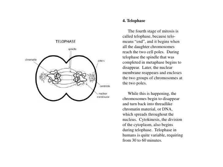 Principles designing thesis outline image