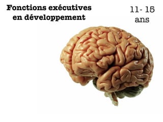 Fonctions exécutives
en développement
11- 15
ans
 