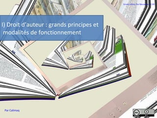 I) Droit d’auteur : grands principes et
modalités de fonctionnement
Par Calimaq
Ecrans infinis. Par fdecomite. CC-BY.
 